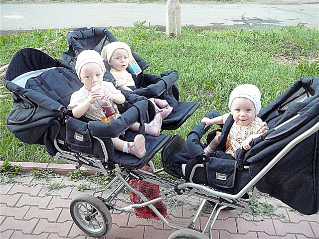 Kereta bayi kembar tiga: gambaran umum model dan tip untuk memilih