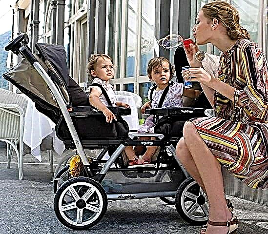 Strollers for twins: an overview of the best models and tips for choosing