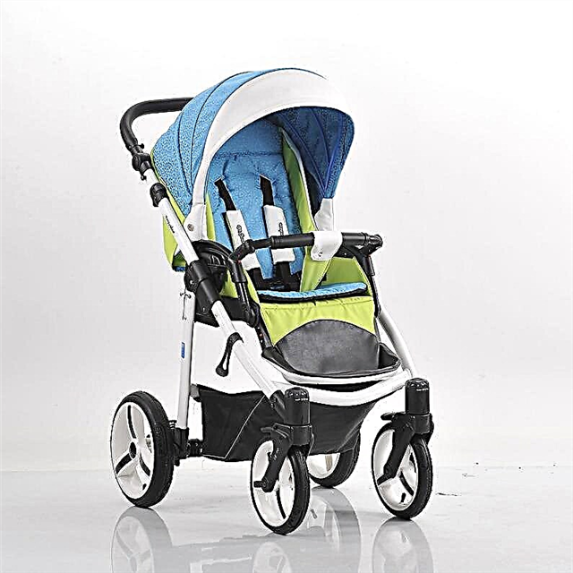 All-season strollers ranking: which model is the best?