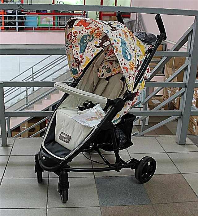 Wózki Happy Baby: opis i kryteria wyboru, zalety i wady