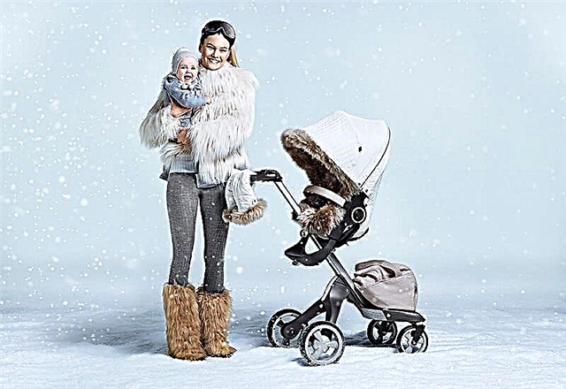 Carrinhos de bebê para o inverno: visão geral dos modelos mais populares