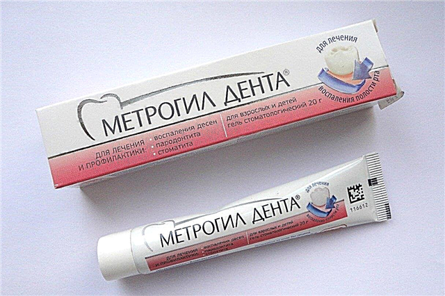 „Metrogyl Denta” w ciąży: instrukcje użytkowania