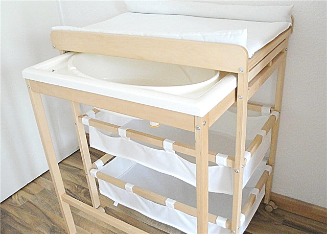 Changing table with bath: features and choices