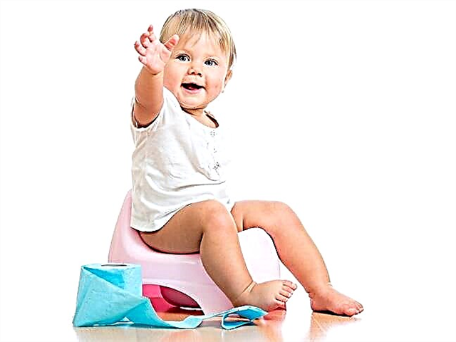 Бебешки стол за гърне: нюансите на избор