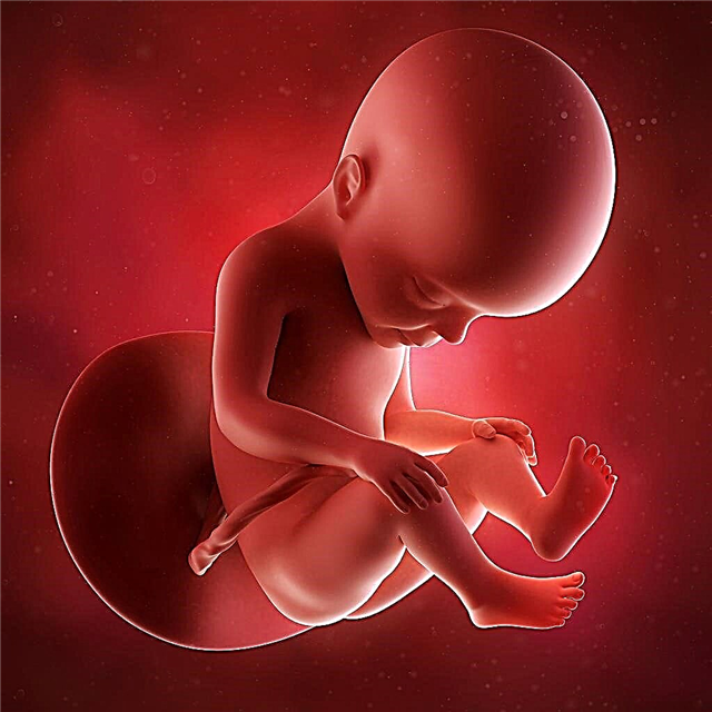 Hvad betyder central placenta previa under graviditet, og hvad påvirker det?