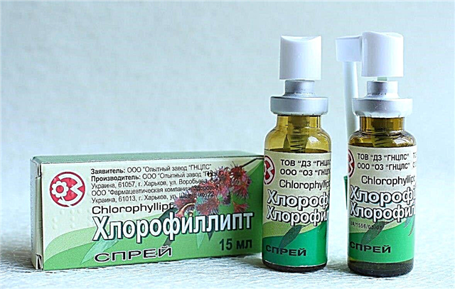 Chlorophyllipt spray til børn: brugsanvisning