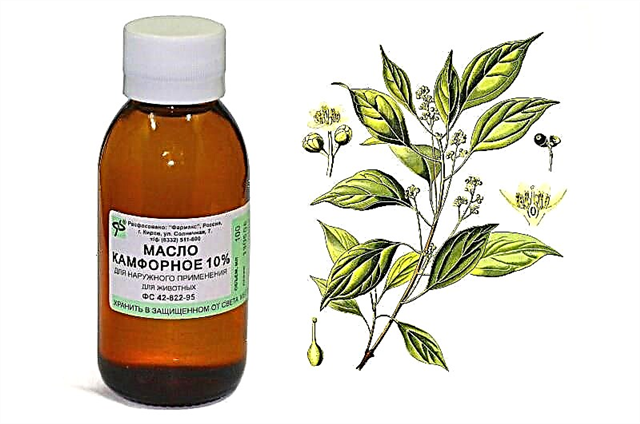The use of camphor oil in the treatment of children