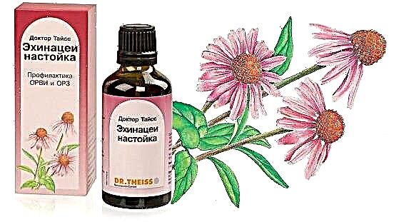 Echinacea tincture for children: instructions for use 