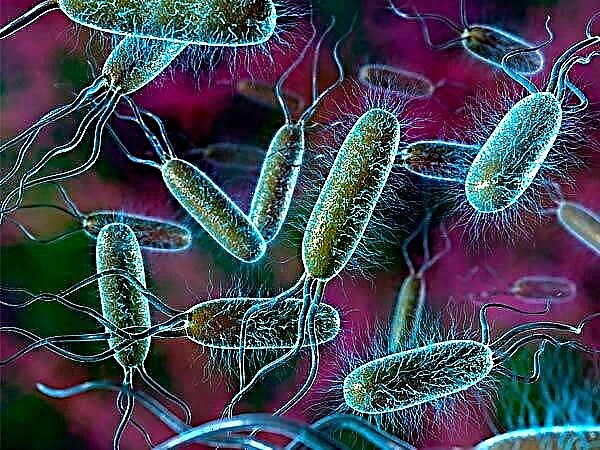 子供の尿中のE.coli