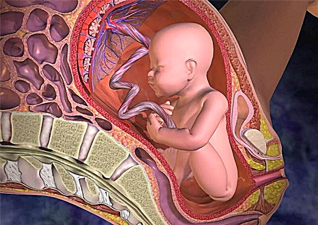 What does the first degree of maturity of the placenta mean and what week of pregnancy does it correspond to normal?