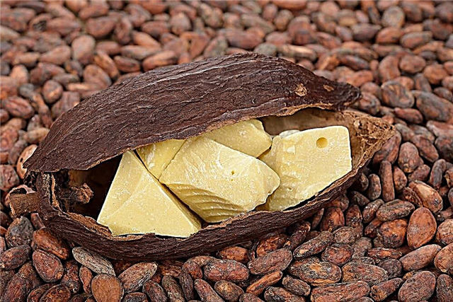 Kakaové maslo proti kašľu pre deti