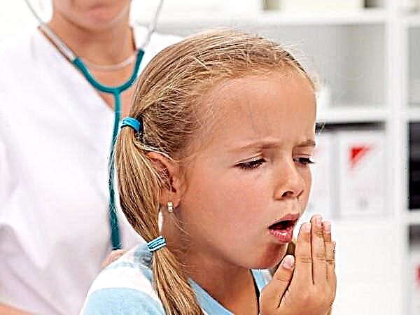 Hvordan man behandler hoste uden feber hos et barn?