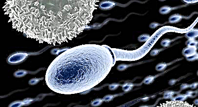 Razones de la presencia de leucocitos en el espermograma e indicadores normales.
