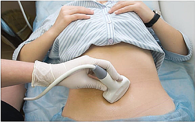 Wordt echografie gedaan na 2-3 weken zwangerschap?