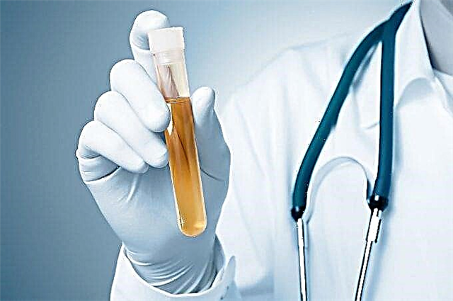 Rdeče krvne celice v urinu med nosečnostjo in vzroki za nastanek krvi v urinu