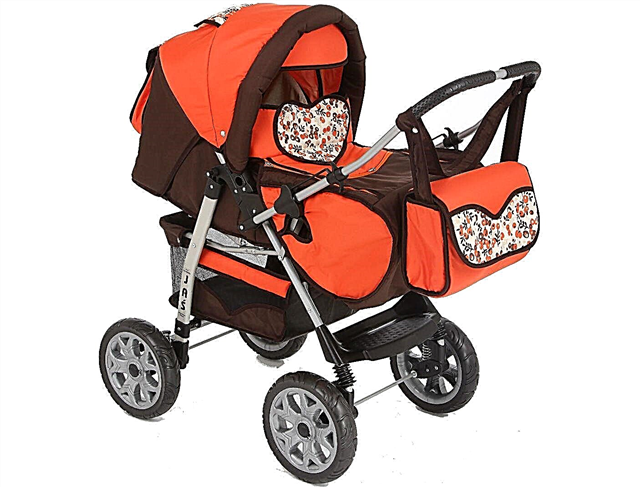 Review of popular models of transforming strollers for newborns
