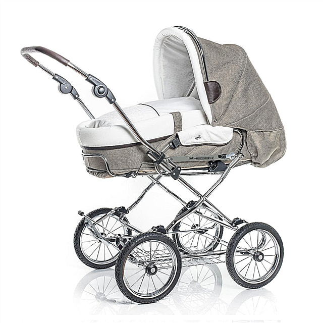 Strollers Hesba: model range and features of choice