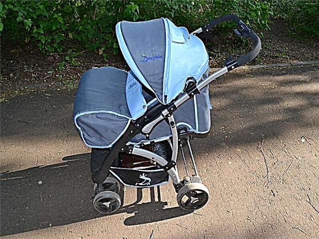Dauphin strollers: features and popular models