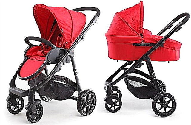 Barnvagnar för nyfödda 2 i 1: funktioner och finesser som du väljer