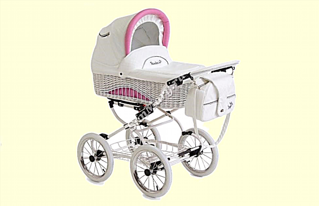 Колица-колијевке за новорођенчад: како одабрати квалитетан и практичан модел?