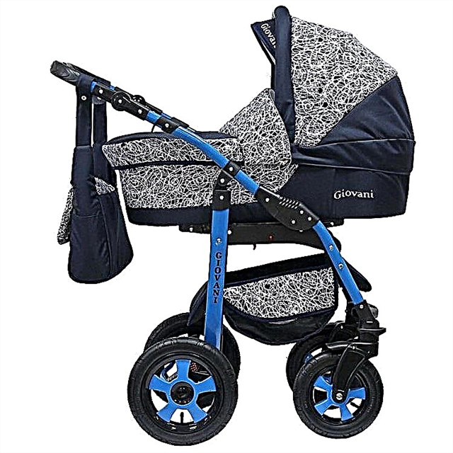 Stroller Giovanni: model overview and tips for choosing