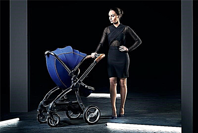 Egg strollers: brand features, model range and subtleties of choice
