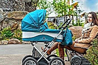Lonex bebek arabaları: model özellikleri ve seçim için ipuçları