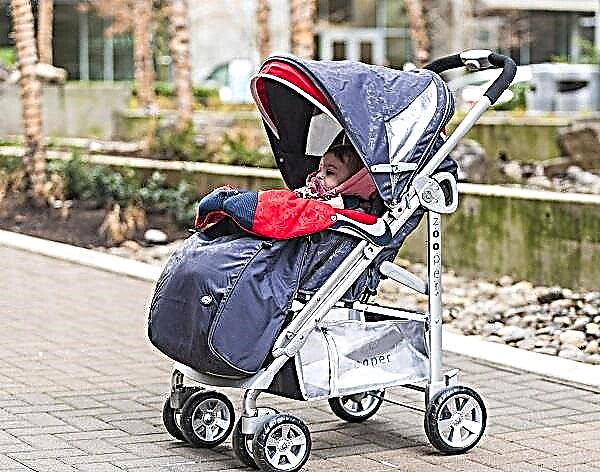 Zooper strollers: popular models and tips for choosing