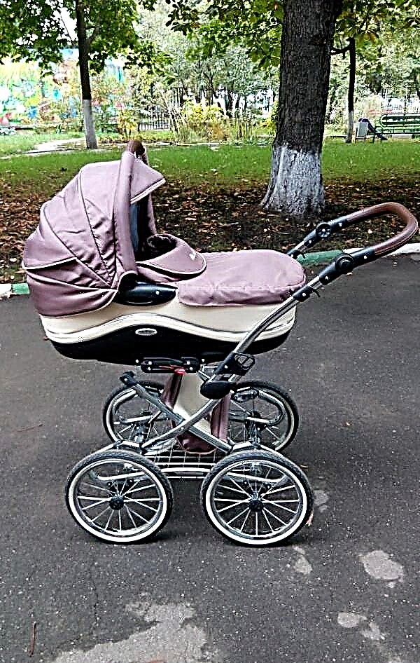 Parusok strollers: types and tips for choosing 
