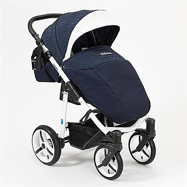 Strollers Mr. Sandman: varieties and tips for selection