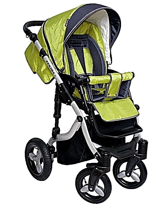 Features and types of strollers Zekiwa 