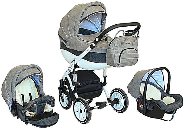 Strollers Verdi: features of models and tips for choosing