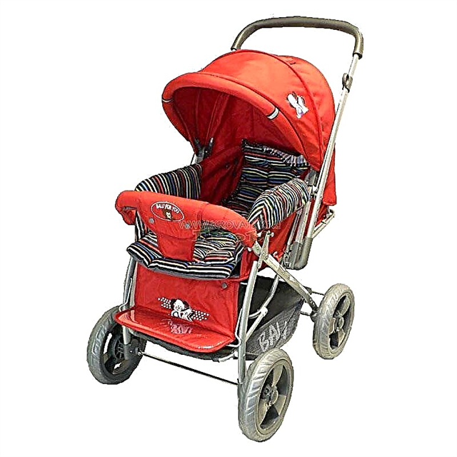 Features of Balu strollers