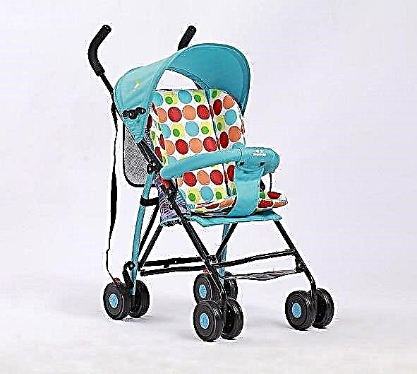 Review of popular models of strollers BamBola 