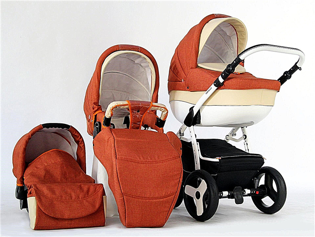Farfello barnvagnar: en översikt över populära modeller och designfunktioner 