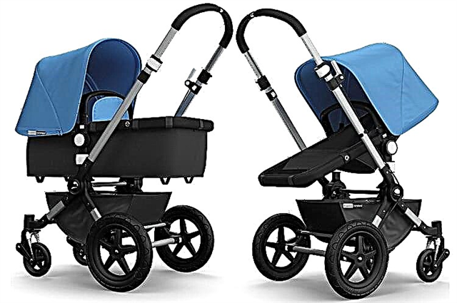 Bugaboo strollers: designs and tips for choosing