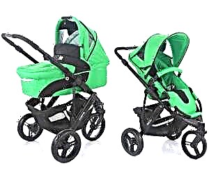 Strollers from FD-Design: variety of models and subtleties of choice