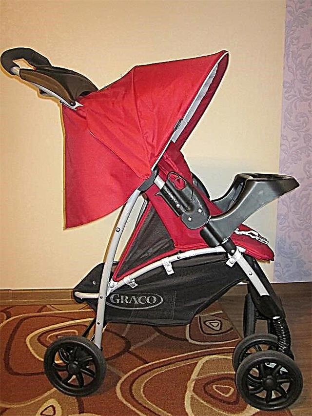 Graco strollers: model overview and selection tips