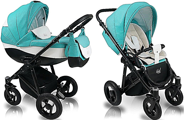 Bexa strollers: features and lineup