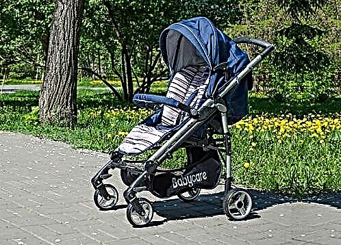 Baby Care strollers: types of designs and recommendations for selection 
