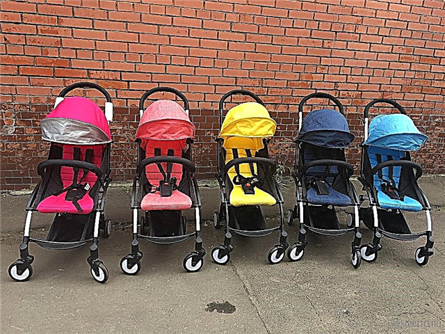 Descrierea și caracteristicile căruciorelor pentru bebeluși Baby Time