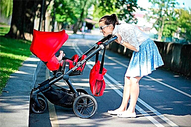 Betyg av barnvagnar: de bästa modellerna från moderna tillverkare 
