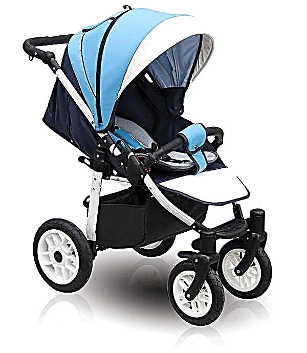 Features of strollers with inflatable wheels