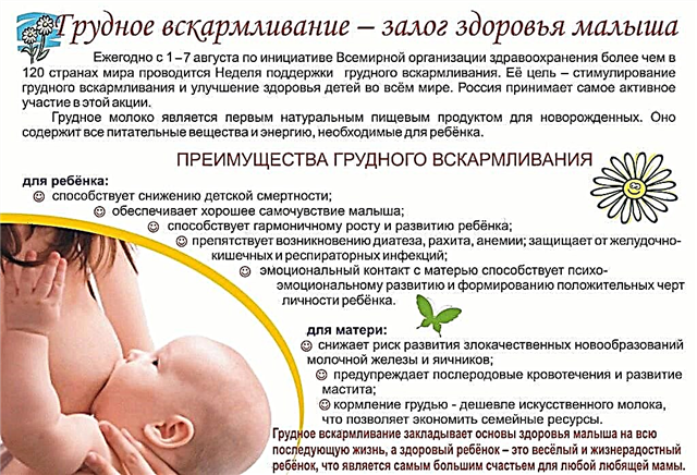 Základní tipy na kojení pro kojící matky