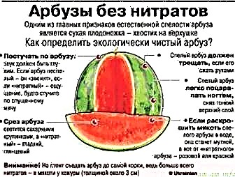 Je možné jíst meloun během GW