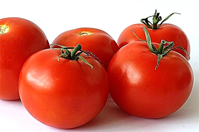 Pomidory do karmienia piersią