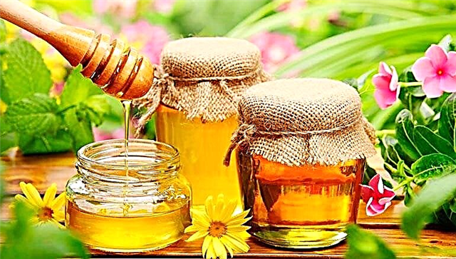 Är det ok att äta honung medan du ammar