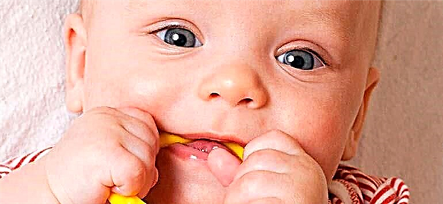 Teethers: types of teethers, tips for choosing