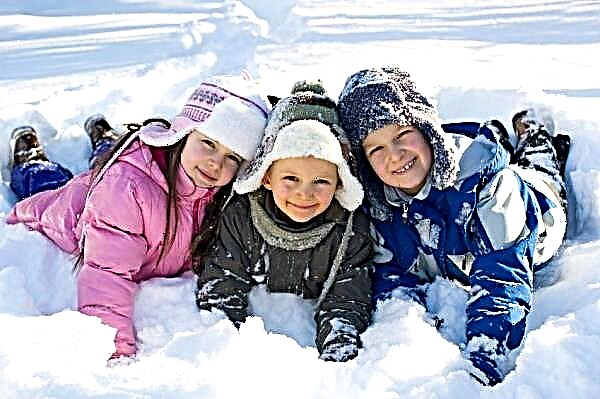 Børns leg og sjov i sneen