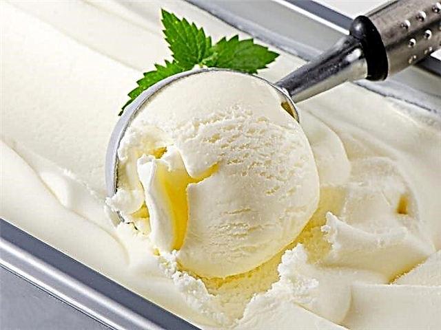 האם גלידה מותרת במהלך ההנקה